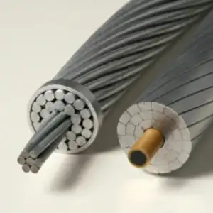 ACC Conductor